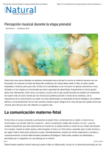 Percepción musical durante la etapa prenatal