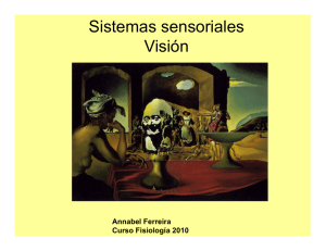 Sistemas sensoriales Visión