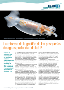 La reforma de la gestión de las pesquerías de aguas profundas de