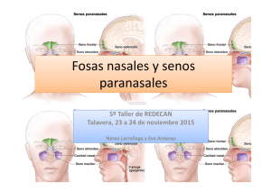 Fosas nasales y senos paranasales - REDECAN