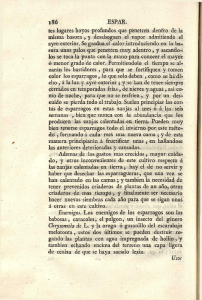 i86 ESPAR. tes lugares hoyos profundos que penetren dentro de la