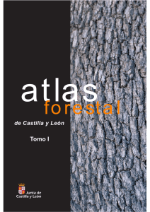 Atlas Forestal - Bloque 2 - Junta de Castilla y León