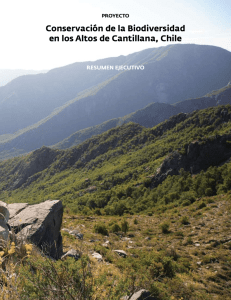 Conservación de la Biodiversidad en los Altos de Cantillana, Chile
