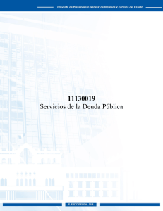 11130019 Servicios de la Deuda Pública