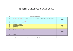 NIVELES DE LA SEGURIDAD SOCIAL