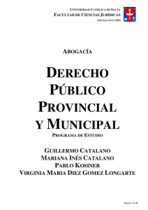 derecho público provincial y municipal
