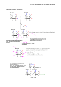 1 Formación del enlace glucosídico
