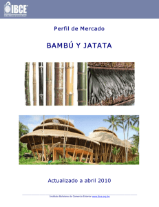 bambú y jatata - Santa Cruz Trade