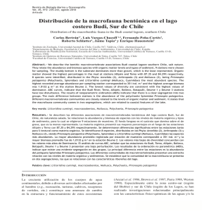 Distribución de la macrofauna bentónica en el lago costero Budi