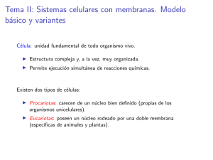 Tema II: Sistemas celulares con membranas. Modelo básico y