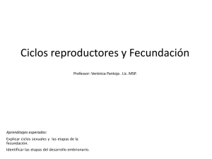 Ciclos reproductores y Fecundación