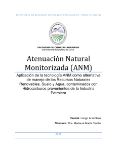 Atenuación Natural Monitorizada (ANM)