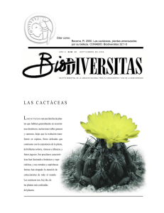 LAS CAC T Á C E A S - Biodiversidad Mexicana