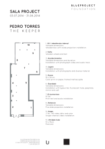 sala project - Pedro Torres