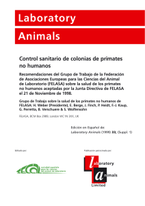 Control sanitario primates