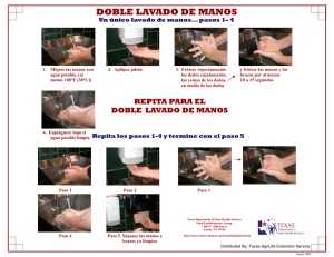 Doble Lavado de Manos - double hand washing poster