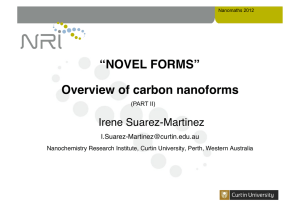 Overview of carbon nanoforms “NOVEL FORMS”