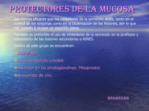 medicina/PROTECTORES DE LA MUCOSA