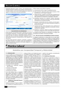 Práctica Laboral - Revista Asesor Empresarial