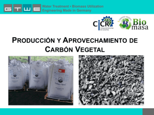 producción y aprovechamiento de carbón vegetal