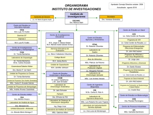 ORGANIGRAMA INSTITUTO DE INVESTIGACIONES