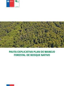 PAUTA EXPLICATIVA PLAN DE MANEJO FORESTAL DE BOSQUE