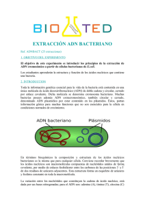 extracción adn bacteriano