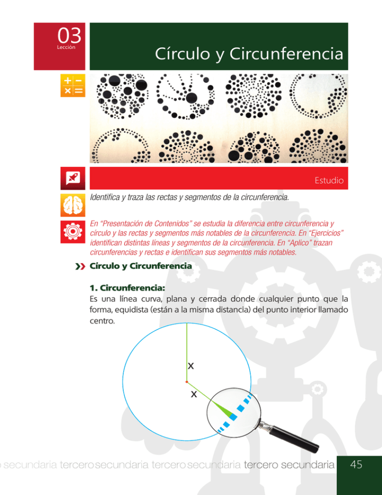 Círculo y Circunferencia