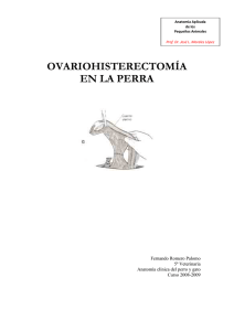 Ovariohisterectomía 2 - Universidad de Córdoba