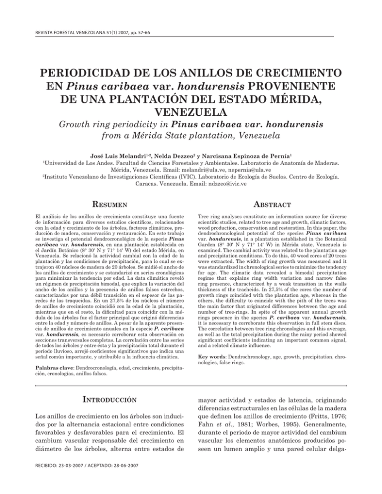 Periodicidad De Los Anillos De Crecimiento En Pinus