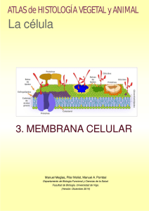 Membrana celular - Atlas de Histología Vegetal y Animal