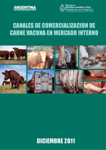 Canales de comercializacion de carne vacuna