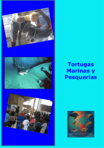 "Tortugas marinas y pesquerías" ()