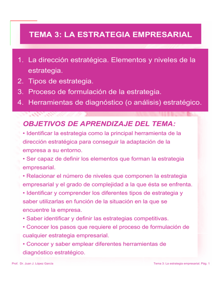 TEMA 3 LA ESTRATEGIA EMPRESARIAL