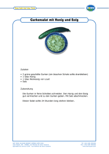 Zutaten • 2 grüne geschälte Gurken (ein bisschen Schale sollte