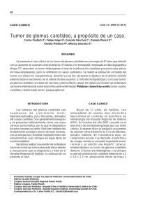 Tumor de glomus carotídeo, a propósito de un caso
