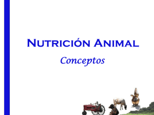 Nutrición Animal 1ª etapa