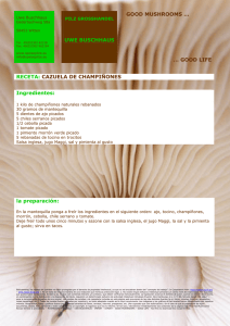 19 cazuela de champiñones - Pilze Grosshandel mit Speisepilzen