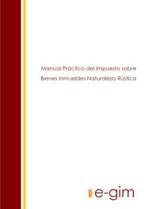 Manual Práctico de IBI Rústica