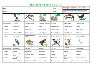 1NOMES DE ANIMAIS (CUESTONARIO 4)