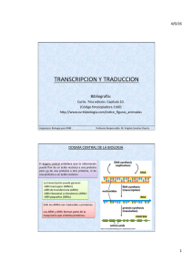 9-TranscyTrad