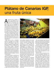 Plátano de Canarias IGP, una fruta única