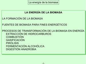 La energía de la biomasa LA ENERGÍA DE LA BIOMASA LA