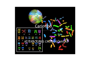 alteraciones cromosomicas [Modo de compatibilidad]