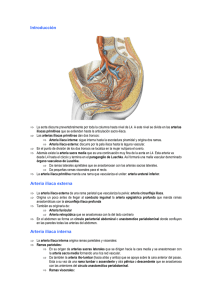 Angiología de la pelvis.