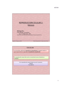 REPRODUCCION CELULAR 2: Meiosis