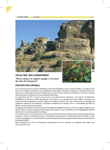 valle del rio cañamares - Gobierno de Castilla