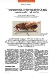 Tripanosomosis. Enfermedad de Chagas y enfermedad del sueño