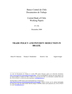 trade policy and poverty reduction in brazil