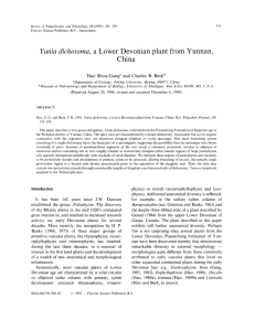 Yunia dichotoma, a Lower Devonian plant from Yunnan, China